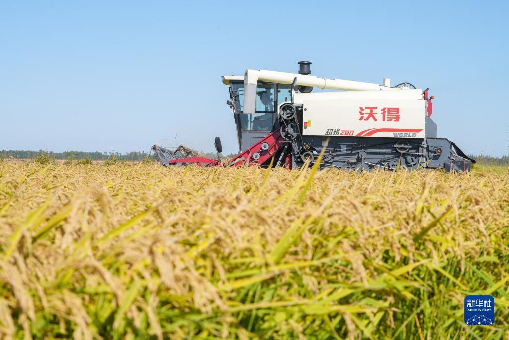 平博在哪里下载